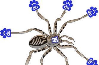 如何區(qū)分百度蜘蛛和匿名蜘蛛